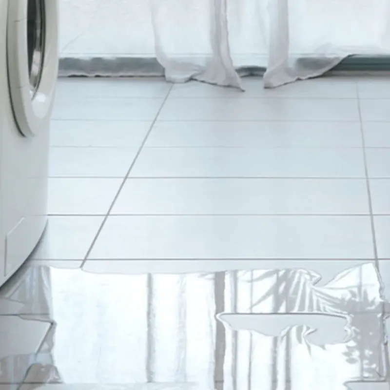 Appliance Leak Cleanup in Willis, TX