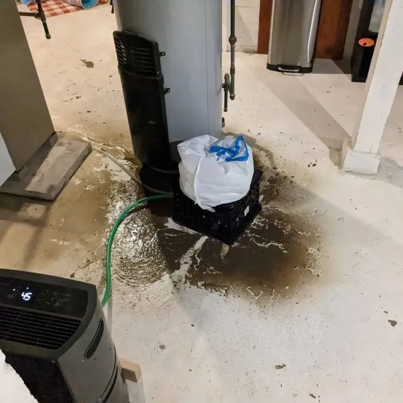 Sewage Backup Cleanup Service in Willis, TX